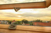 rated Lowna roof window companies